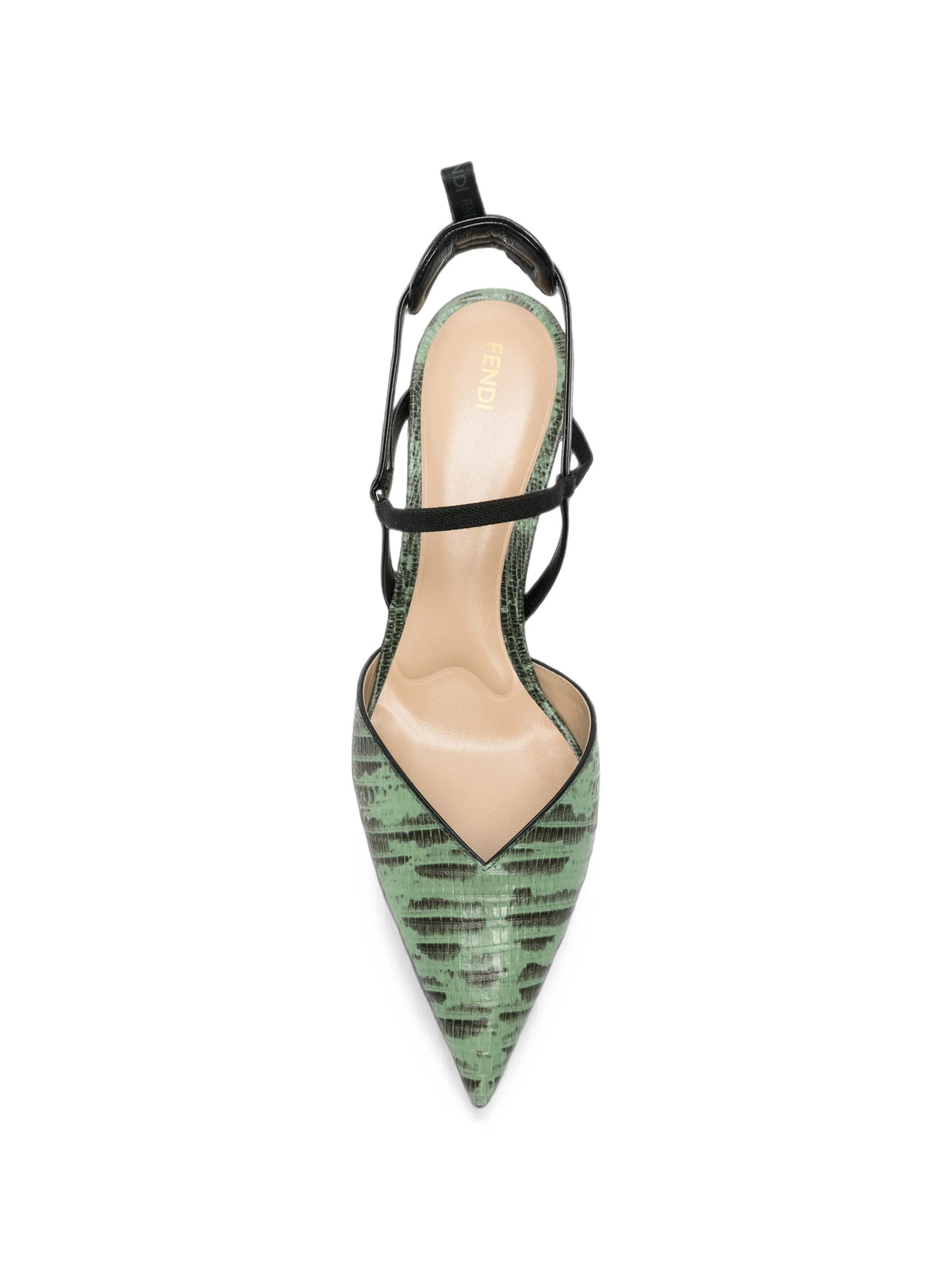 Fendi - Colibri Snake-print Pumps